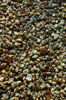 Pebbles in the water-July 27