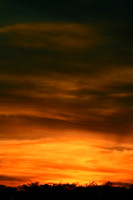 BCNP Sunset 3