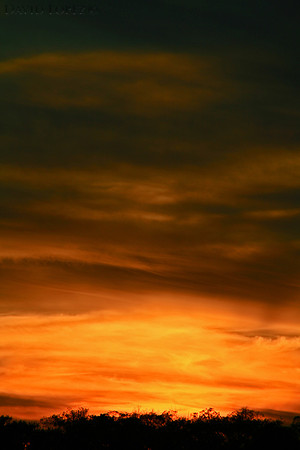 BCNP Sunset 3